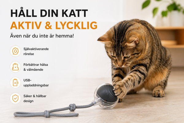 Självlekande Kattleksak™